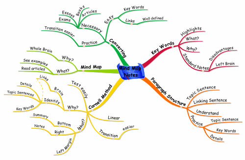 English essay techniques