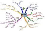 Mind Map Principles Overview