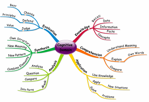 Cognitive Domain