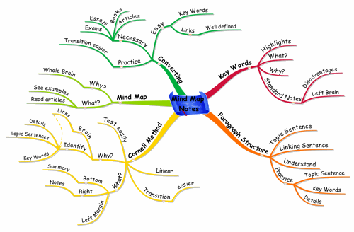 Mind Map Notes